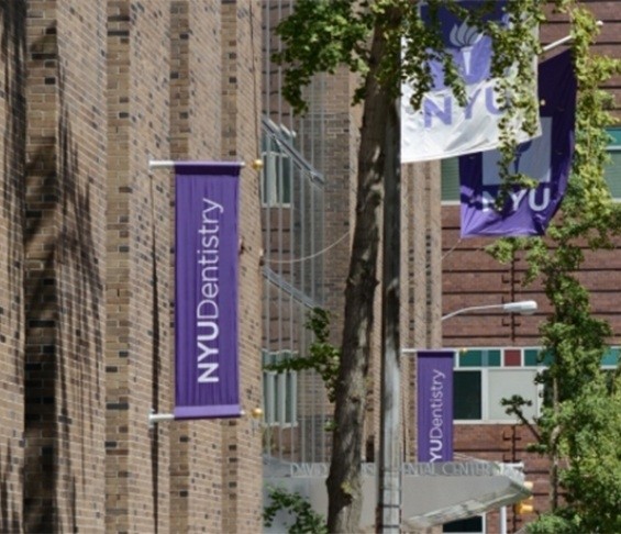 Purple flags on side of building that read N Y U Dentistry