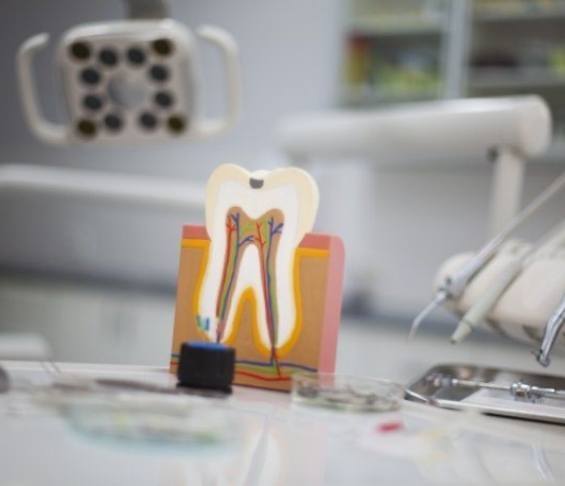 Model of decayed tooth showing the layers inside of it